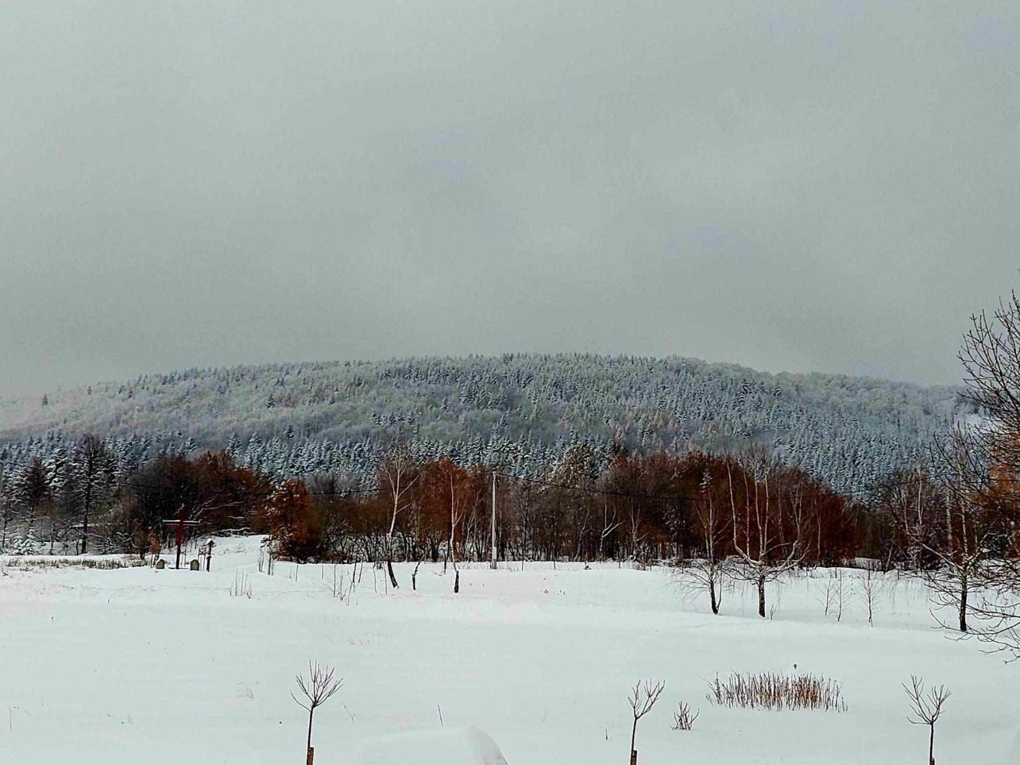 Vila Zasankowe Wzgorze Exteriér fotografie